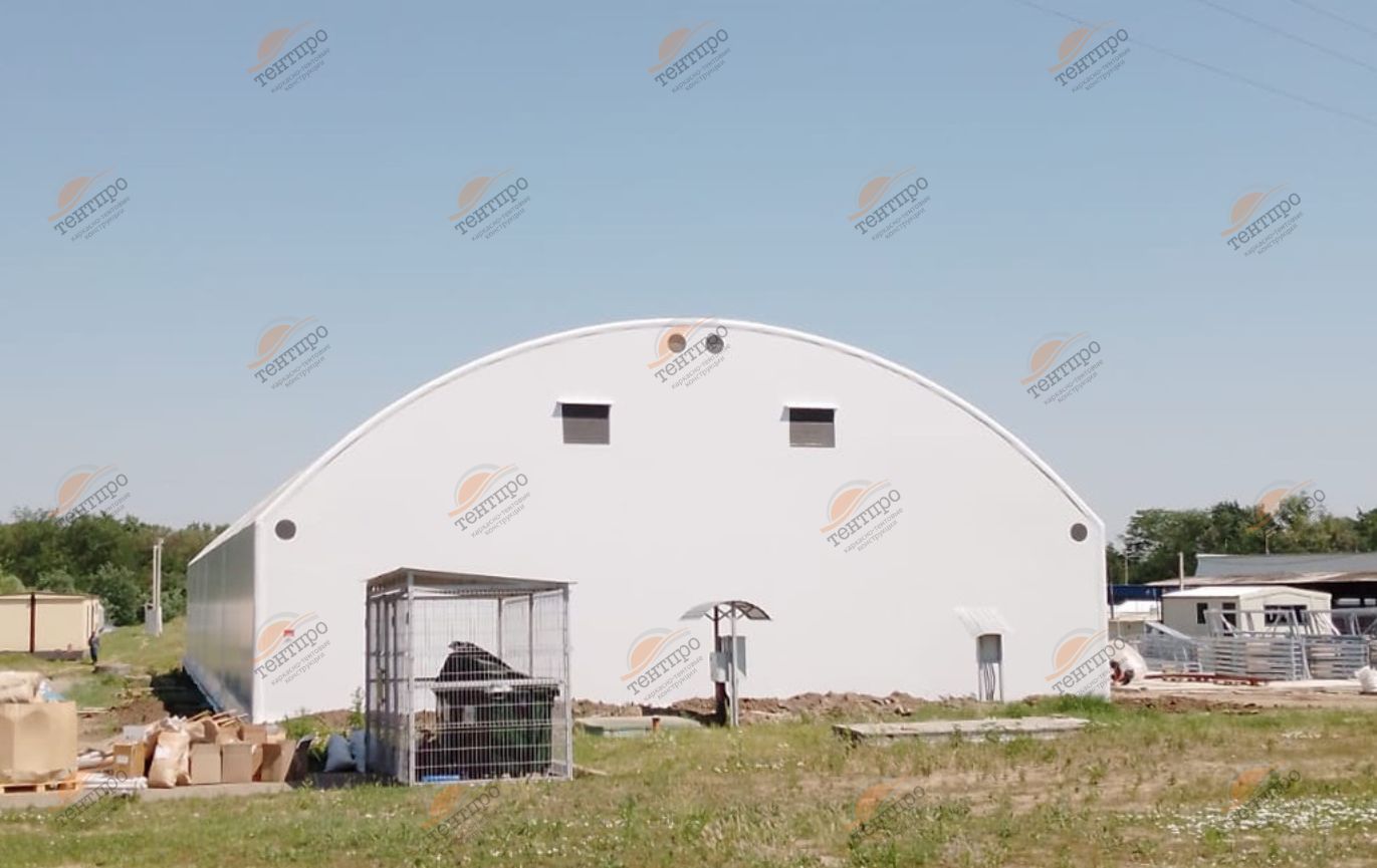 В17х47 Кропоткин в Москве 3 В17х47 Кропоткин в Москве 3